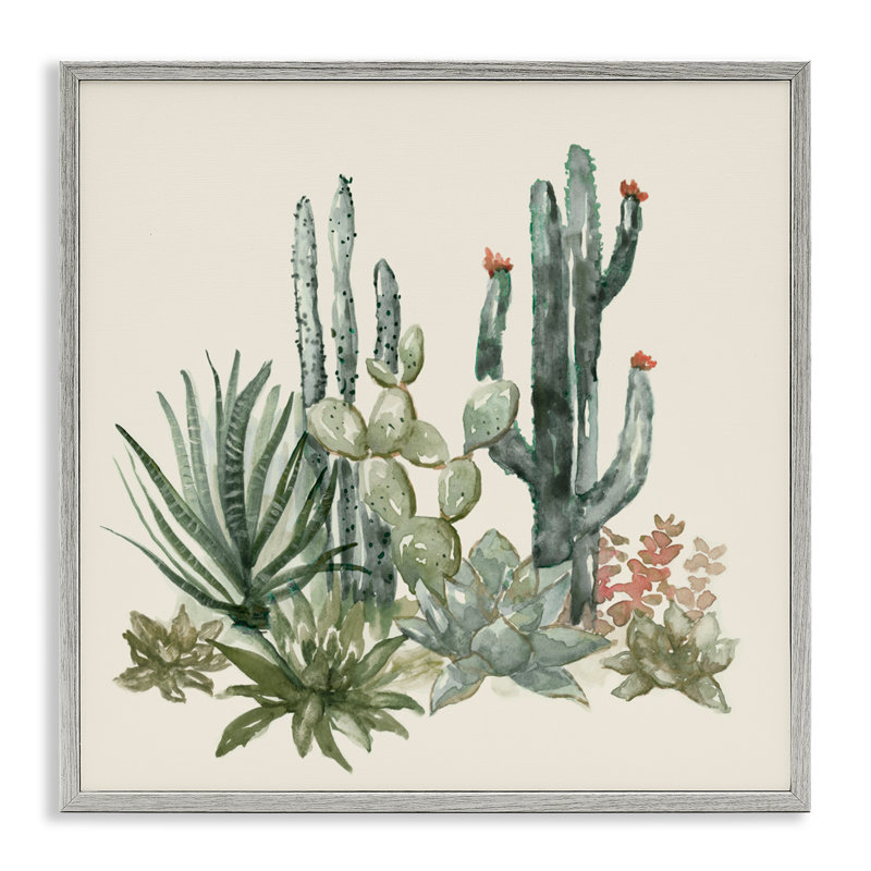 Mojave Green Succulents, giclée encadrée, design par Nan, H 12 po x l 12 po, Estampe numérique Farmhouse