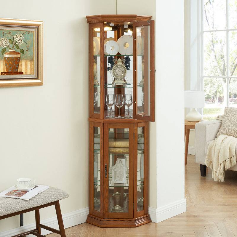 Bilyou Accent Cabinet Corner Curio Cabinet with Lights, Adjustable Tempered Glass Shelves, Mirrored Back, Display Cabinet, (E26 light bulb not included) 