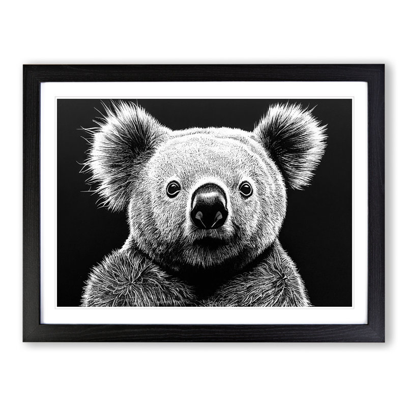 Koala Bear - Framed Print, Black Framed, 34cm H x 46cm W