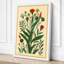 Flowering Plant Study Botanical - Wrapped Canvas-993088561-993088563