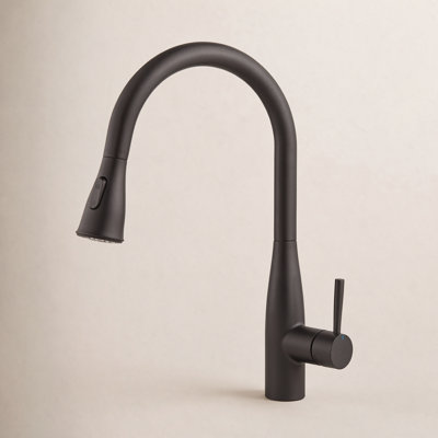 Bari-T Pull-Down Faucet with Accessories