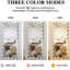 Miroir de vestiaire pleine grandeur avec lumières - 72 x 32 pouces, argent, luminosité réglable, pour chambre à coucher 72 x 32 pouces, 3 choix de luminosité et toilettes