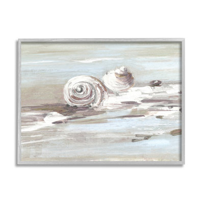 Coquillages de plage Still brossé