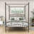 Ebrahima Metal Canopy Bed with Headboard-1976858343-1976858340