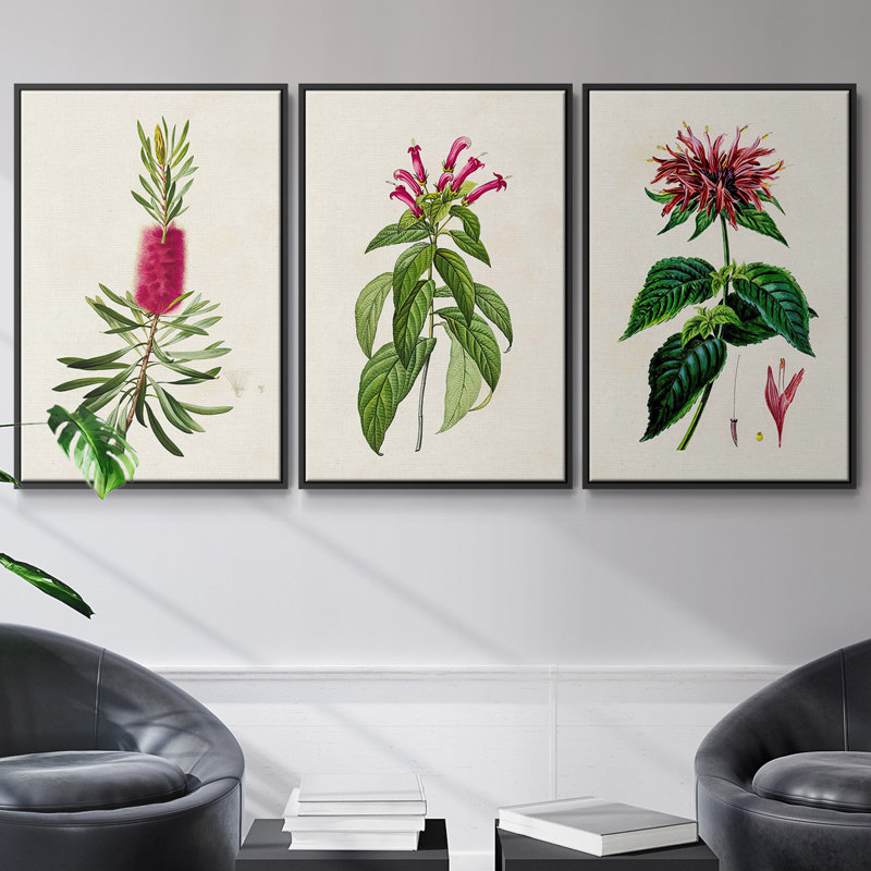 Jolies plantes botaniques roses 3 pièces, Noir, H 40 po x l 78 po