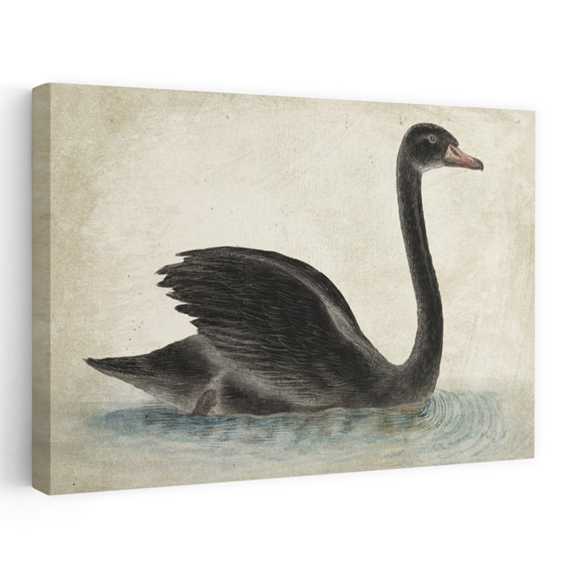 Art contemporain d'oiseau nageur cygne noir, H 24 po x l 16 po