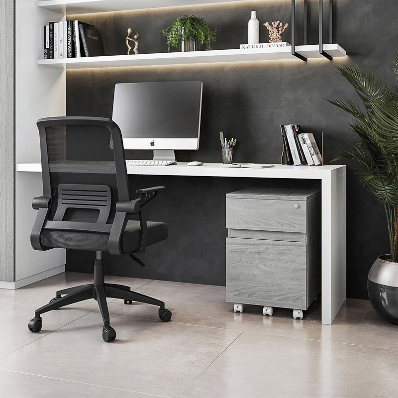 Rolling Two Drawer Vertical Filing Cabinet With Lock And Storage