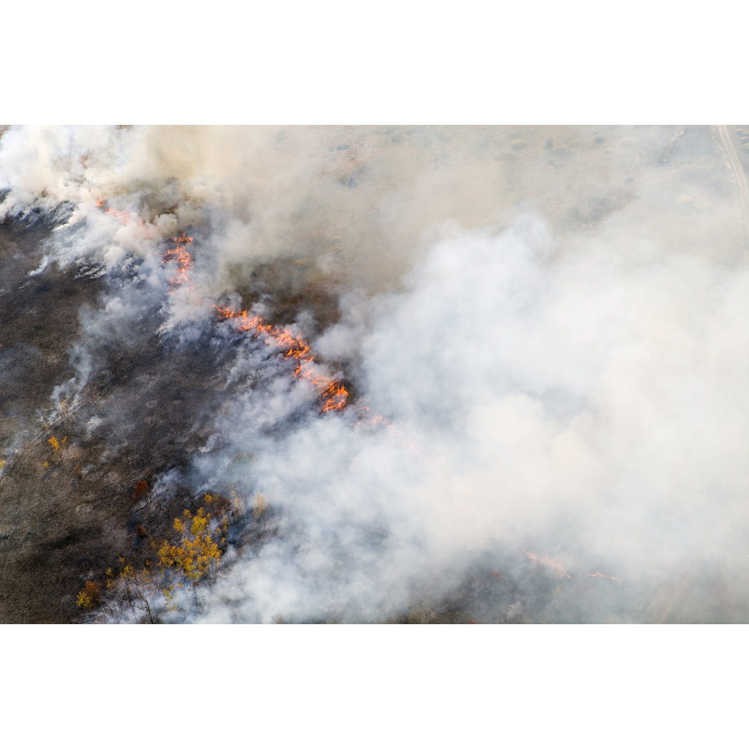 Waldbrandlinie mit Flammen