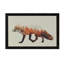 Fox I by Andreas Lie - Print on Canvas-42157183-101413626