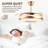 Ceiling Fan with LED Lights