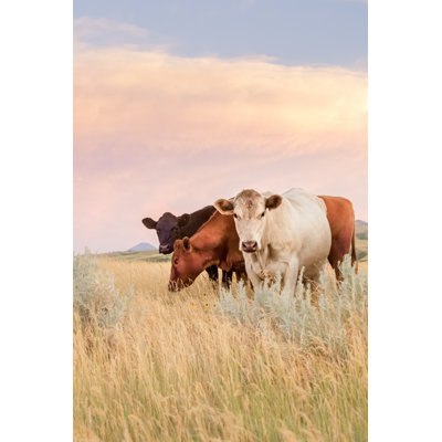 Three Cows 1 Piece Wrapped Canvas Wall Art