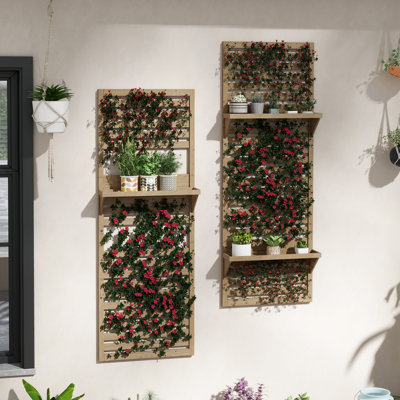 Wall Shelf