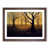 Walnut Frame