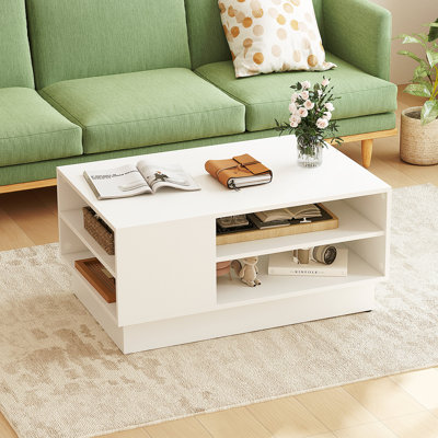 Coffee Table with Storage