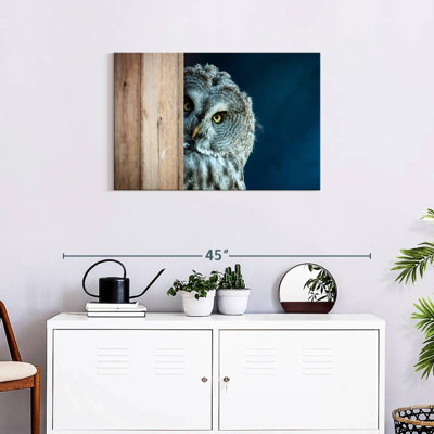 Peeking Owl - impression sur toile tendue