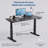 Rise Up 3-stage Dual Motor Electric Standing Desk Frame -2054301483