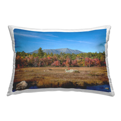  Polyester Throw Pillow