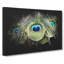 Peacock Feathers - Wrapped Canvas-56642820