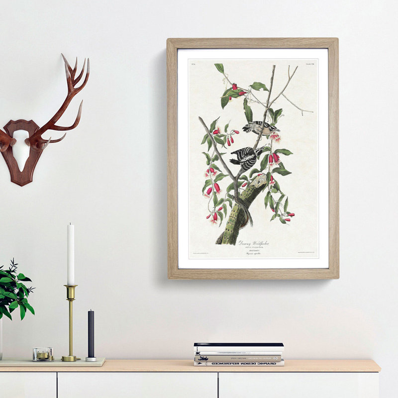 Downy Woodpeckers by John Audubon - Picture Frame Painting Print, 36cm H x 27cm W x 2cm D, Oak Framed