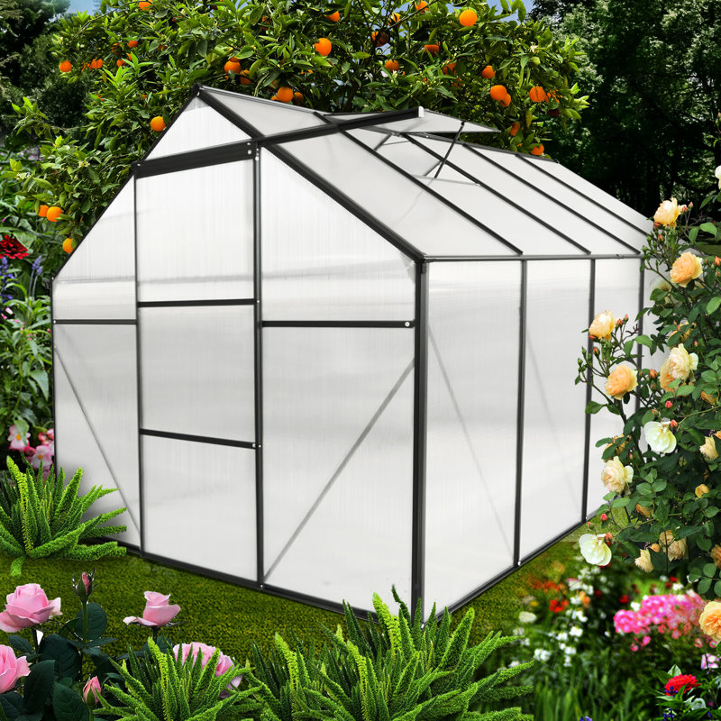Black Polycarbonate Greenhouse - Heavy Duty, All Season Outdoor For Backyard Sliding Door, Adjustable Roof, Frame Walk-in With Robust Construction Galvanized Base