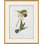 Hummingbirds Giclee Print