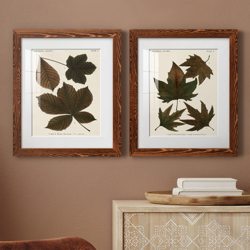 Autumnal Leaves III - 2 Piece Painting, Maple Framed, 24" H x 20" W x 1" D, White