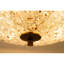 Lustre Watnes-1435988616-1435988609-1461823752