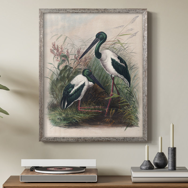 «Vintage Animal Print», reproduction encadrée en bois massif, H 30 po x l 24 po