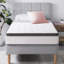 Bryna Euro Top Pocket Spring Mattress-323056163