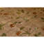 Hand Knotted Wool Area Rug in Brown