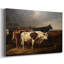 ANIMAL LIX  -Premium Gallery Wrapped Canvas -Ready to Hang-2055408529
