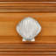 1 1/2" Seashell Knob-39948804-104673476-126755986