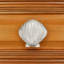 Grand bouton coquillage-104673475-126755986-39948804