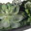 Centre de table Uttermost Verde