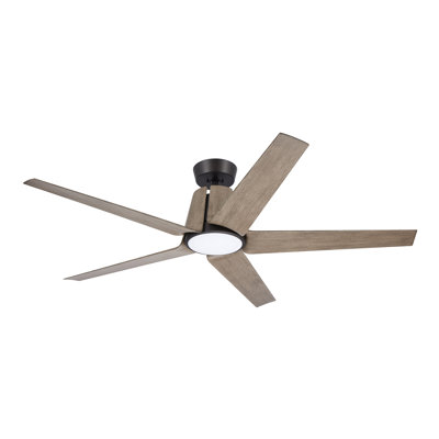 Akhavi Ceiling Fan with LED Lights