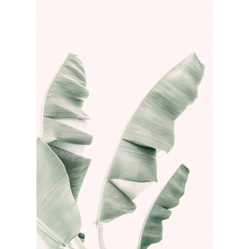 Banana Leaves, 76.2 cm H x 50.8 cm W