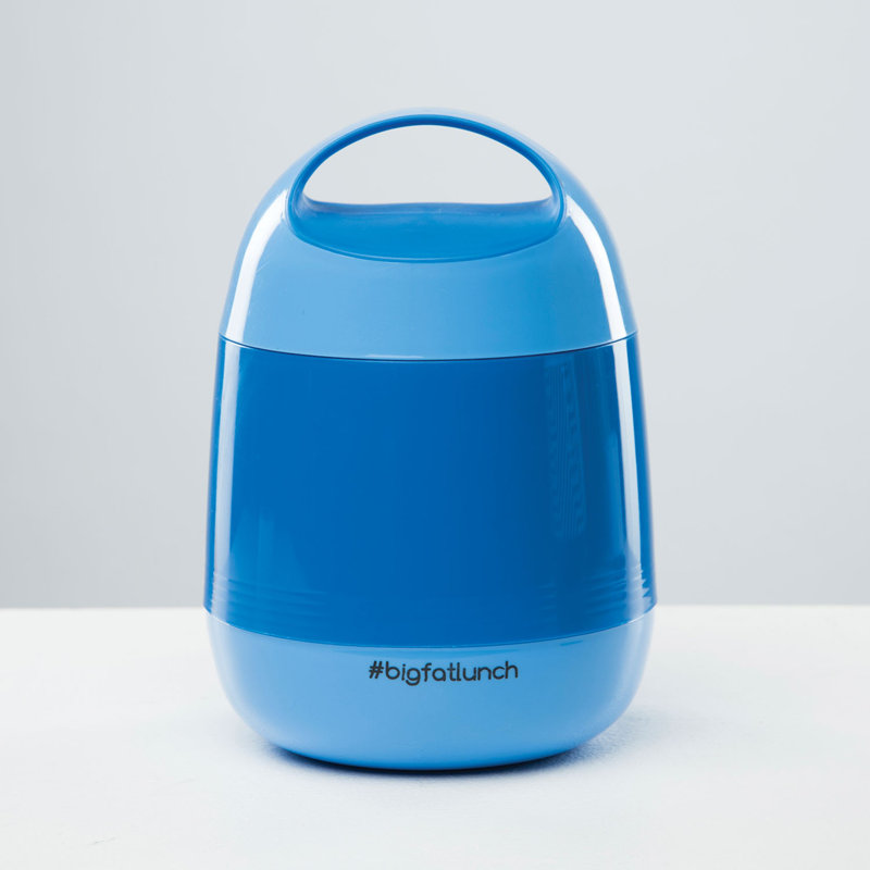 Food Storage - Set of 2 Containers and 2 Lids, Blue