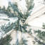Toile Jardin Du Jouy-101874263-101874259