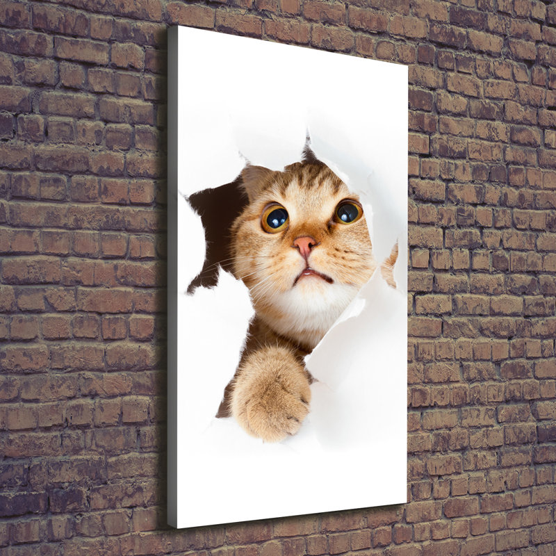 Cat - Wrapped Canvas Print