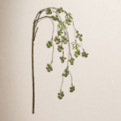 Irish Moss Stems