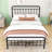 Assunta Metal Platform Bed with Headboard-794205388