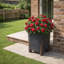 Suzelle Pot Planter-112122985-122610415
