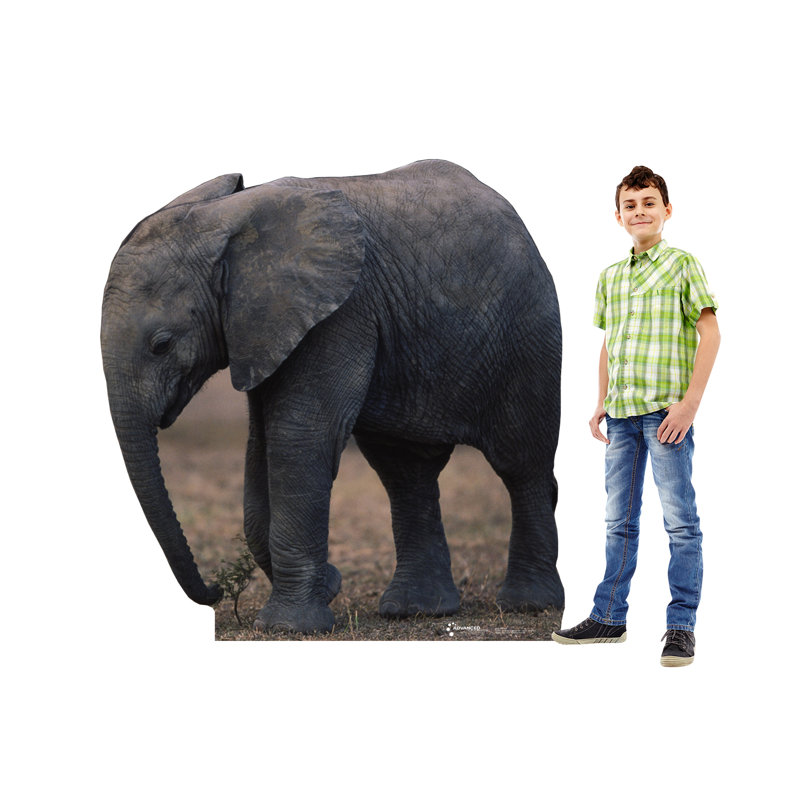 Life-Size Baby Elephant Cardboard Stand-Up
