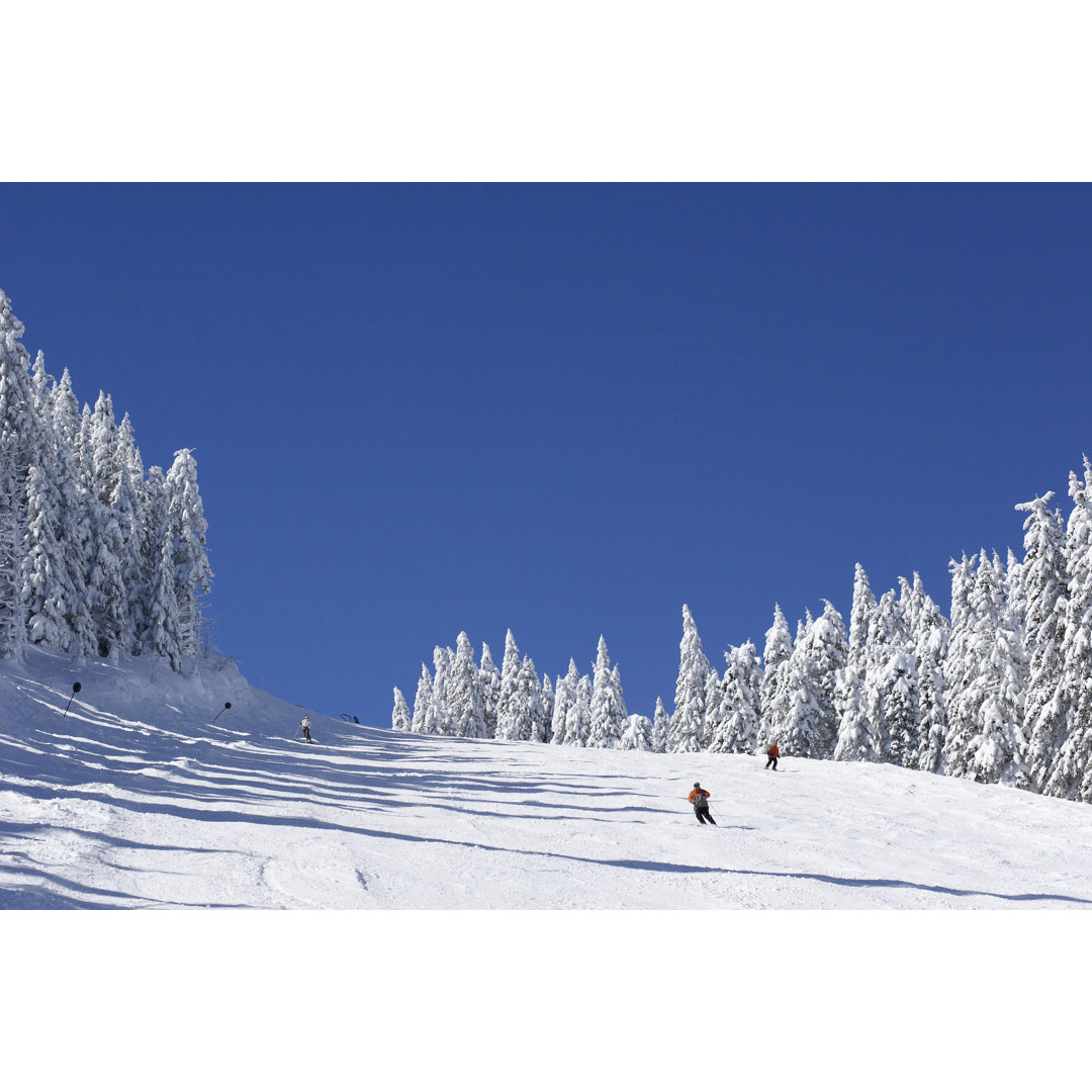 " Ski Slope " by Fotomy Millwood Pines 