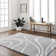 Carolyon Shag Gray/White Area Rug