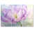 Wrapped Canvas n'est pas disponible