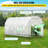 Hobby Greenhouse-95996362-95996364
