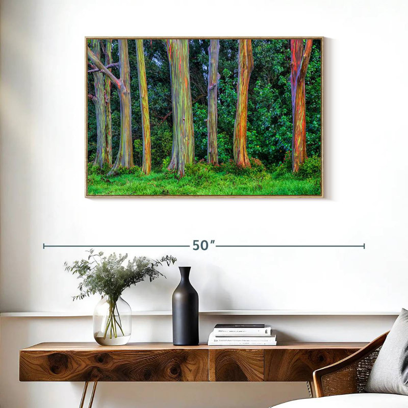 Eucalyptus arc-en-ciel, Cadre flottant en bois naturel, 37 po x 25 po