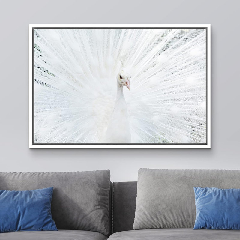 «Animals Vibrant Bright White Peacock Bird» sur toile, Cadre blanc, H 16 po x l 24 po x P 1,5 po