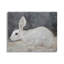 Lapin blanc, estampe numérique classique avec lettrage et doublure-1448366692-1448366695
